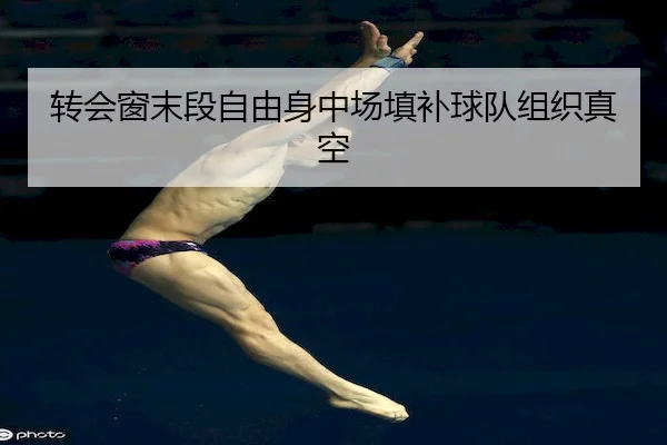 转会窗末段自由身中场填补球队组织真空（AYX）